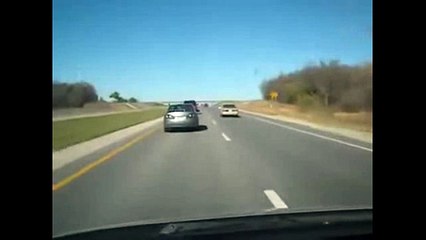 very funny clip 214 There's a horse in that car! LOL