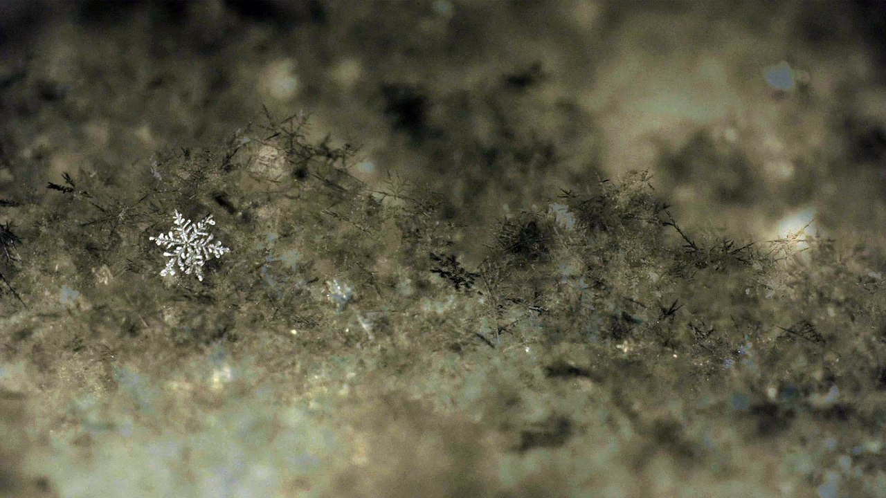 Snowflake Macro