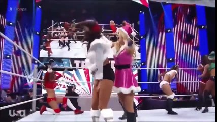 WWE Divas Funny Moments and Funny Conversations