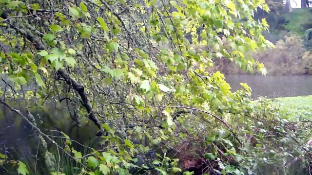 ♥ _Ame_ (Rain) (雨) [ 童謡 ] (with romaji lyrics & translation) - ベスト漫画 , Shūgakumae no manga ,就学前の漫画 ,有名ライムス , Yūmei raimusu ,アニメーション ,Animēshon,キッズ一覧 Kizzu ichiran,花 - Japanese Children's Songs,赤ちゃんのために韻を踏みます,Akachan no tame ni in o fumimasu,