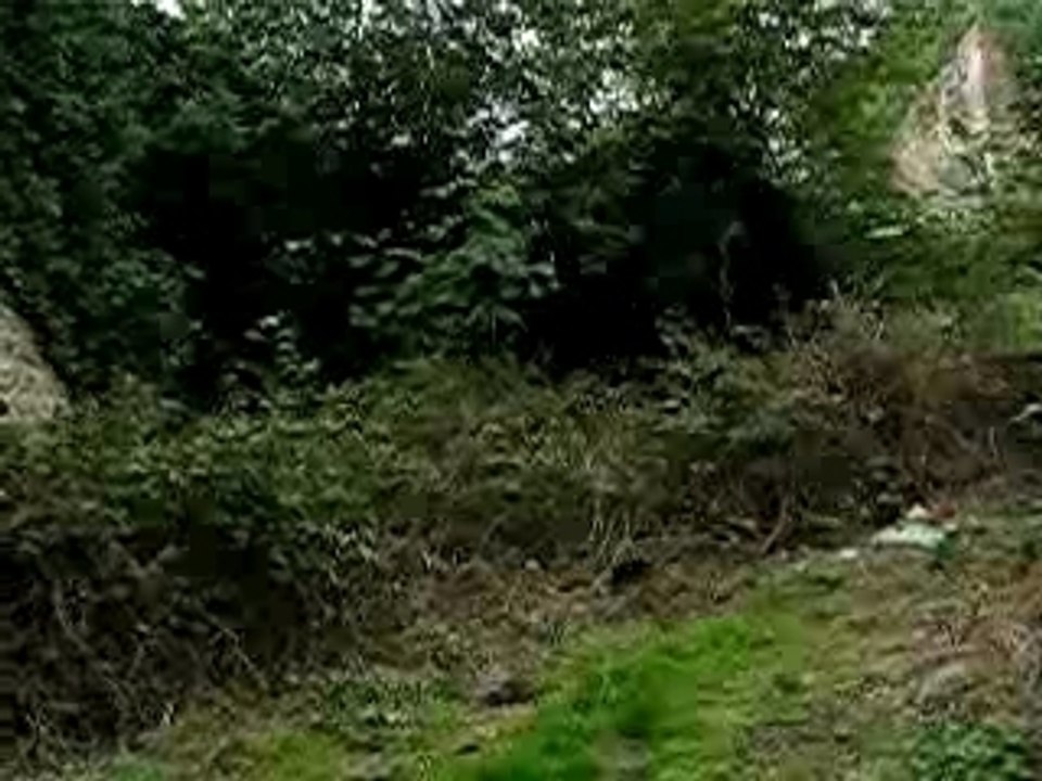 The video qui sert a rien xD