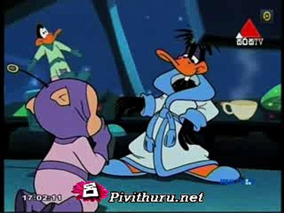 duck   08.03.2016