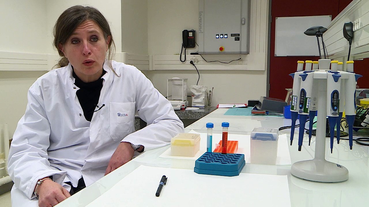 [8 mars] Sophie, chercheuse « réparatrice tissulaire »