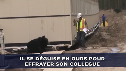 Il se déguise en ours pour faire peur à son collègue