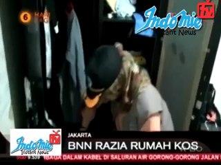 BERANTAS NARKOBA DI KOSAN
