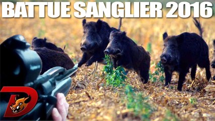 Videos De Dindin Chasse Dailymotion