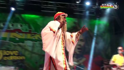 ROYAL RUDES live @ Main Stage 2013