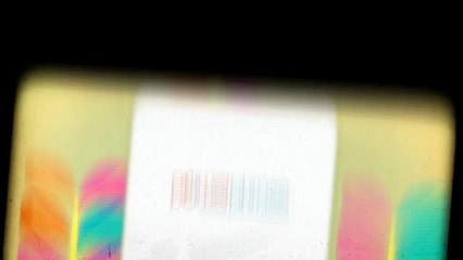 Professional SEO Services Company in Los Angeles