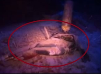 warning:not for the faint of heart - What They Found At The Bottom Of Blue Hole Cave Is The Stuff Of Nightmares