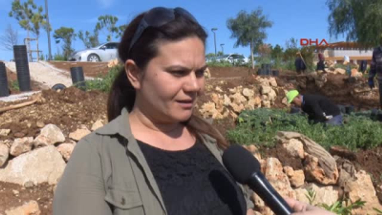 Antalya Expo Tepesi'ne 68 Türde Tıbbi ve Aromatik Bitki Dikiliyor