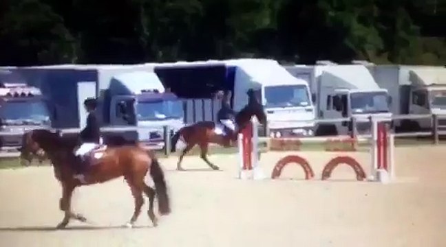 DUCATI DE LA MAISON ROUGE HONGRE 7 ANS