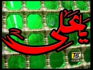 Tery Ishq Da Qadi |  Zahid Imran | Ts Gold