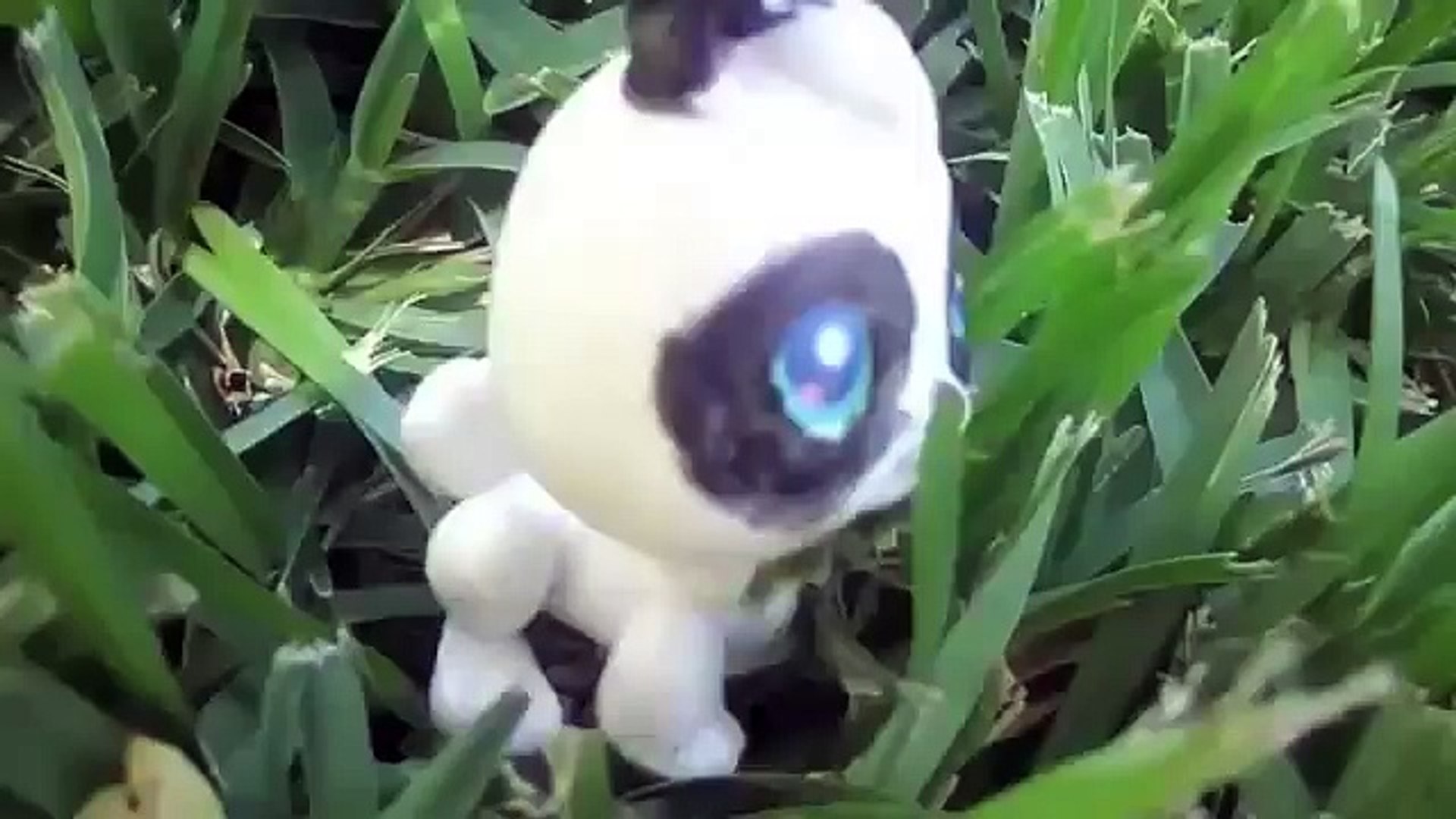 ⁣СТОП МОУШЕН Литл Пет Шоп СТРАХ КРОЛИКА. STOP MOTION vid little Pet Shop FEAR of the RABBIT.