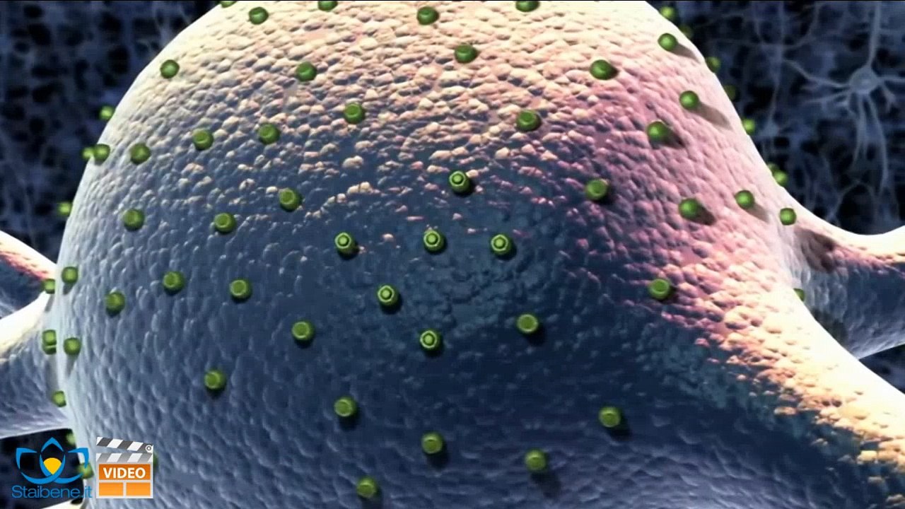 Come si diventa (più) intelligenti