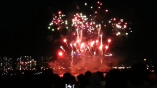 Seoul International Fireworks Festival 2014