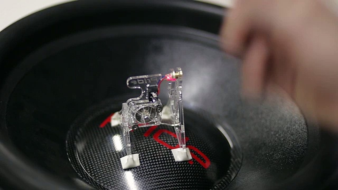 LCv.2 and BBv.2 X-Max. PRIDE CAR AUDIO