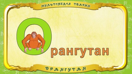 Мультіпедія тварин. Літера О Орангутан