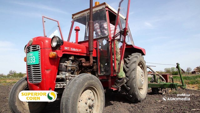 Superiorov hibrid kukuruza Bećar opravdava očekivanja!_440_20.02.2016.