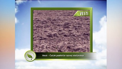 Vesti – Čačak podstiče razvoj stočarstva_440_20.02.2016.