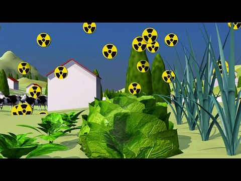 Japon: la justice ordonne l'arrêt de réacteurs nucléaires