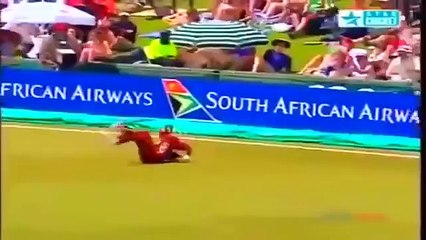 Best Catches in Cricket History! Best Acrobatic Catches! (Please comment the best catch)