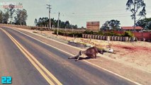 Top 30 Imagenes Mas Escalofriantes Y Raras De Google Earth Y Google Maps | Mundo Misterio™