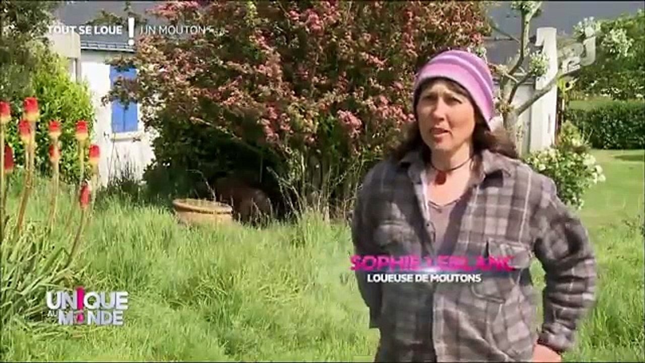 Un jardin, un verger sans la corvée de la tonte !