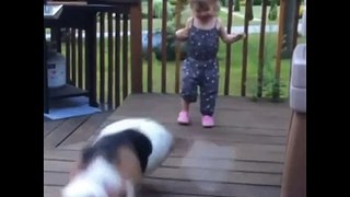 New ! Vine - Funny Dog -Cute Kids - Funny Kitty- Sensitive Dog - Vine Compilation