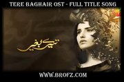 Tere Baghair Pakistan Drama Hum TV