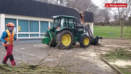 Lannion. Un arbre s'abat sur une classe d'Ar Santé