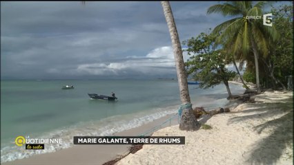 Marie Galante, terre de rhums