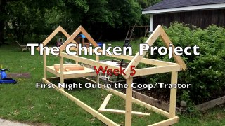 The Chicken Project Week 5