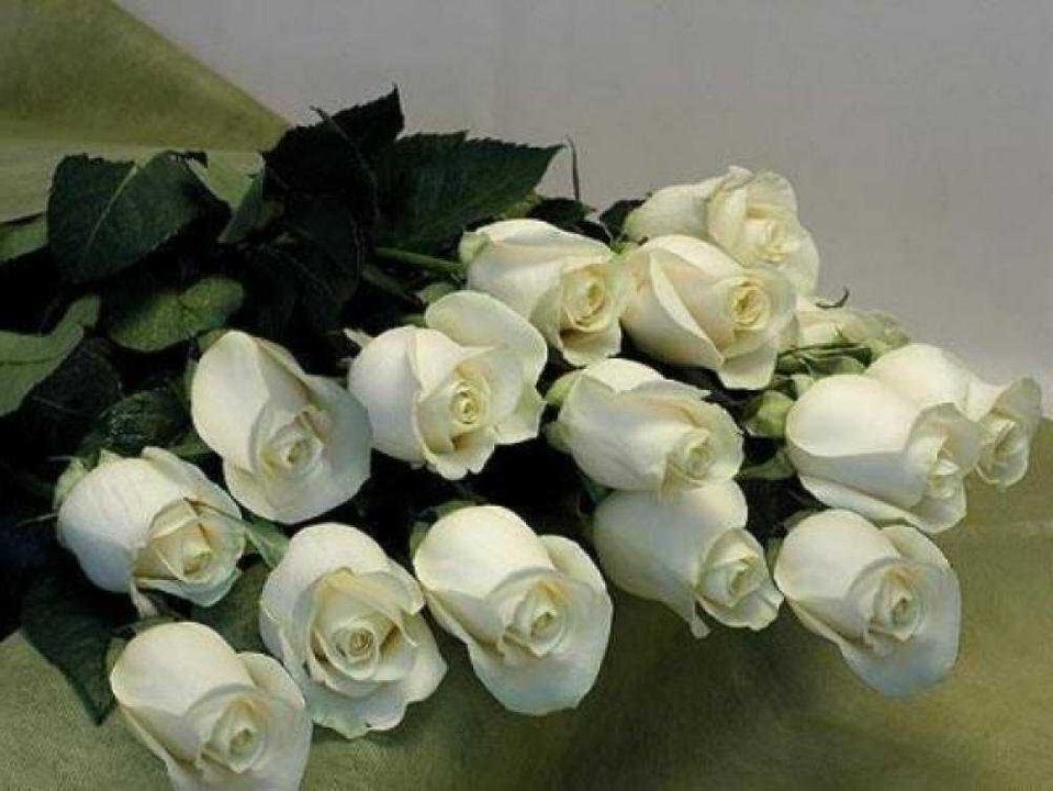 "Букет из белых роз"
