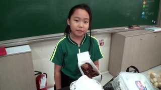 JULIA - Chemical Change - How To Make Cookies