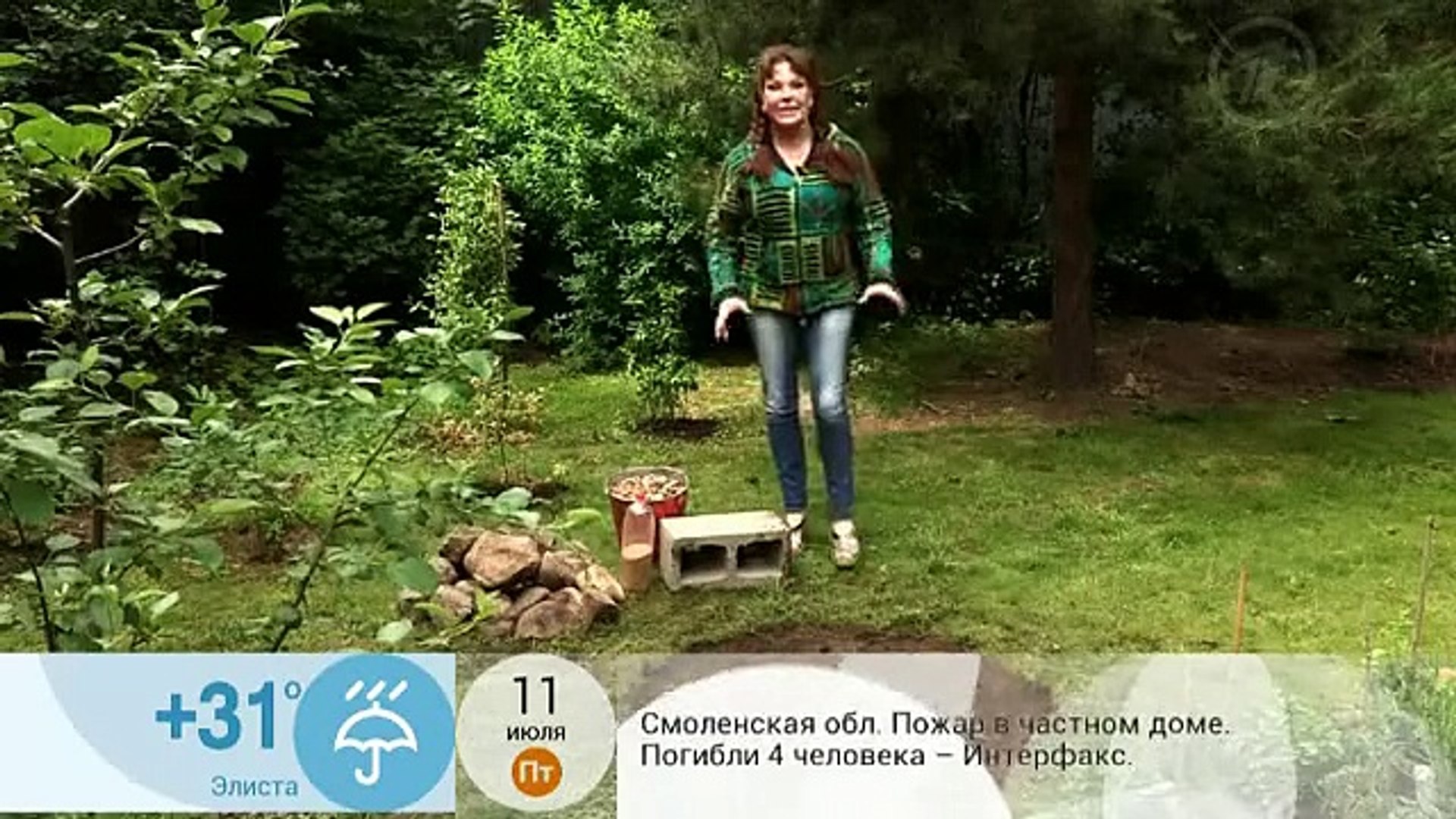 Клумба для укропа