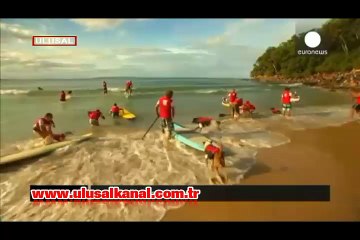 Sörf yapan köpekler!