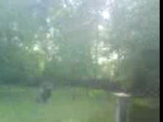 parodie marly-gomont