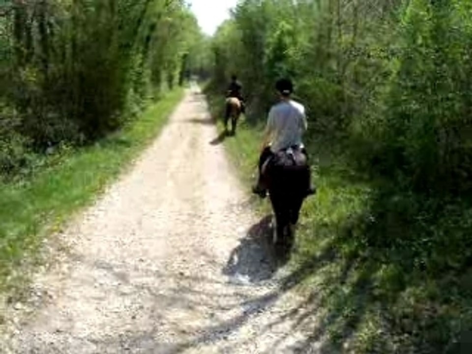 Balade 15.04.07