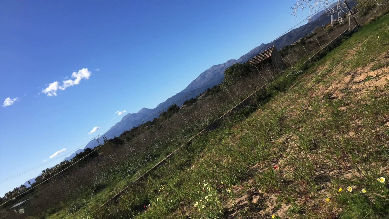 NilsGoerke Training - Spring Camp Part I - Mallorca 03 2016