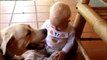 Baby and Dog Funny Video   Funny babies annoying dogs - Cute dog & baby compilation