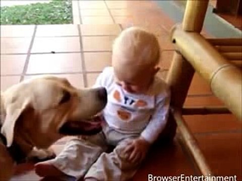Baby and Dog Funny Video Funny babies annoying dogs - Cute dog & baby compilation