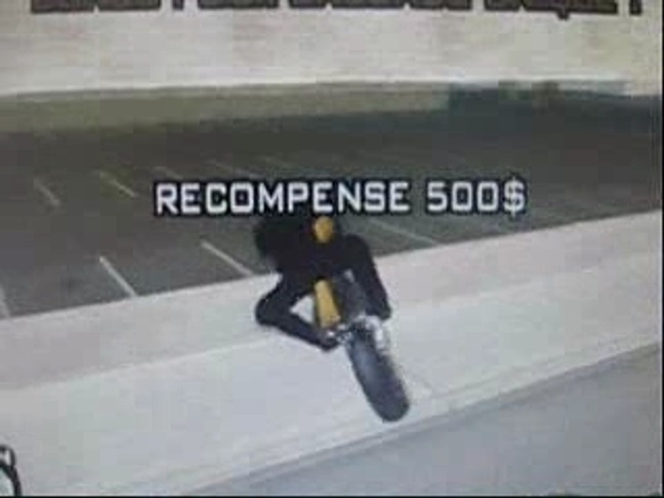 Gta delire-stealth crew
