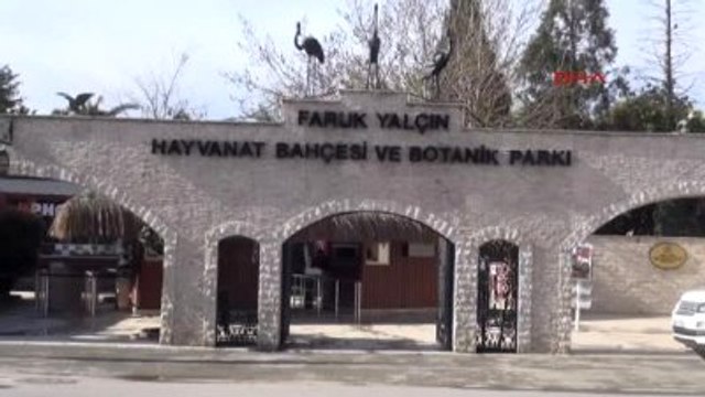 Kocaeli Hayvanat Bahçesinde Oryantiring Yarışı
