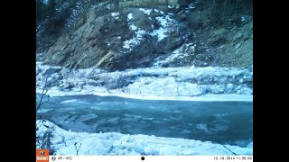 Nenana Canyon Time Lapse 12/12/2014 - 1/29/2015