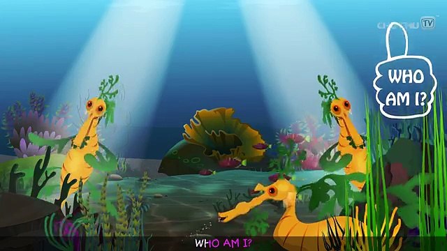 Leafy Sea Dragon Nursery Rhyme ChuChuTV Sea World Animal Songs & Nursery Rhymes For Children