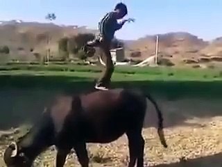 ابھی تو پارٹی شروع ہوئی ہے