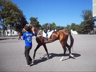 Скачки на приз Гелишикли на лошадях 3-х лет и старше ахалтекинской породы