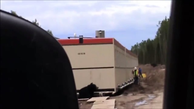 Il se déguise en ours pour faire fuir son collègue... Sa réaction vous fera tordre de rire !