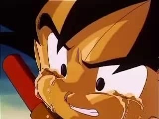 Amv-Dragon ball-What I've done