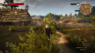 The Witcher 3 - Lilás e Groselha